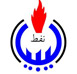 BREGA OIL COMPANY 2006-2009