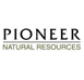 PIONNER 2009